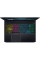 Ноутбук Acer Predator Helios 300 PH315-53-796L Black (NH.QAUEU.00F)