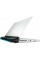 Ноутбук Alienware Area 51M R2 (AWARR2-7316WHT-PUS)