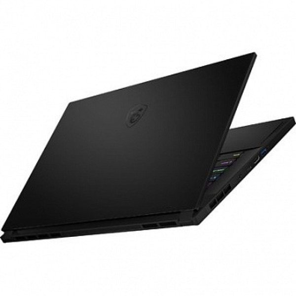 Ноутбук MSI GS66 Stealth 10UG (GS66 10UG-066PL)