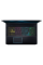 Ноутбук Acer Predator Helios 300 PH315-53-780D (NH.QAVET.003)