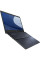 Ноутбук ASUS ExpertBook B2502C (B2502CBA-BQ0237X)