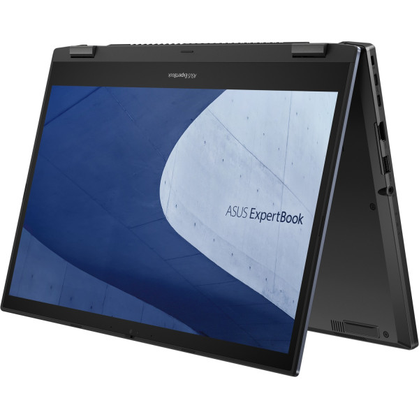 Ноутбук ASUS ExpertBook B2 Flip B2502FVA (B2502FVA-N80030X)