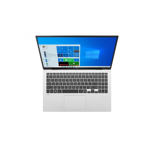 Ноутбук LG Gram (17Z90P-G.AA79G)