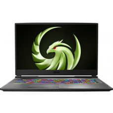 Ноутбук MSI Alpha 17 B5EEK Core Black (17B5EEK-024XUA)