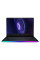 Ноутбук MSI GE66 Raider 10SGS (GE6610SGS-059US)