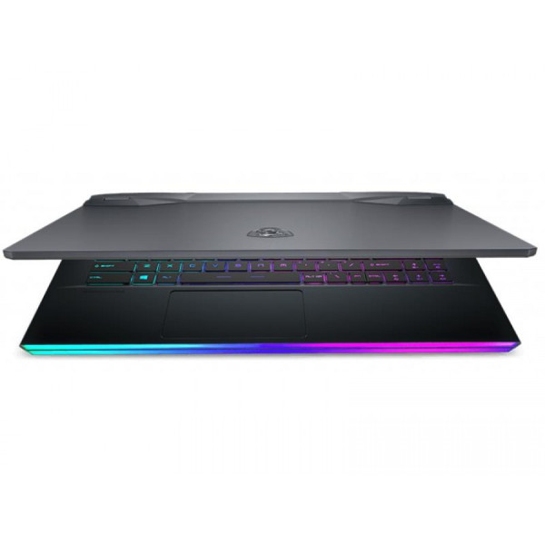 Ноутбук MSI GE66 Raider 10SGS (GE6610SGS-059US)