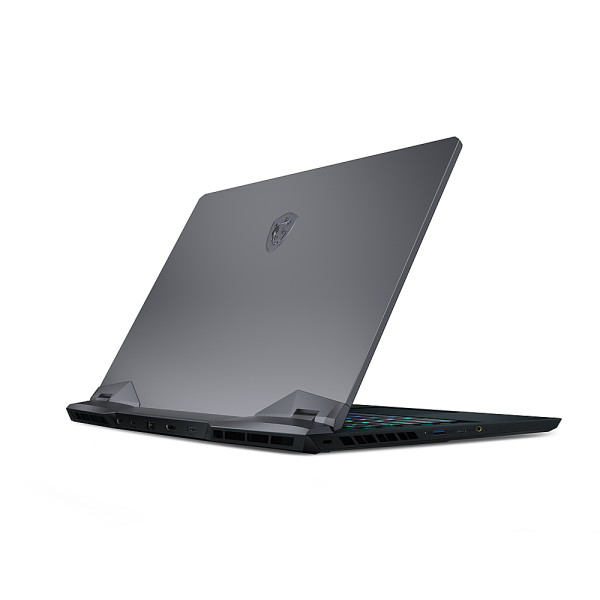 Ноутбук MSI GE66 Raider 10SGS (GE6610SGS-059US)
