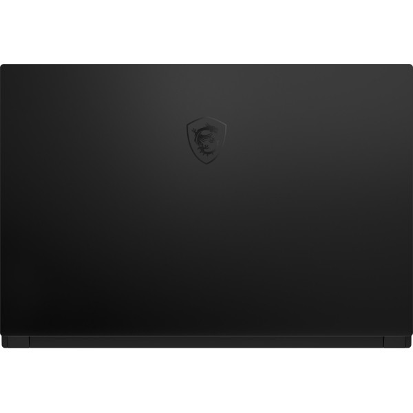 Ноутбук MSI GS66 Stealth 10SE (GS6610SE-630CZ)