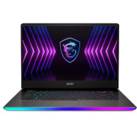 Ноутбук MSI Raider GE67HX 12UGS (GE67HX12UGS-024ES)