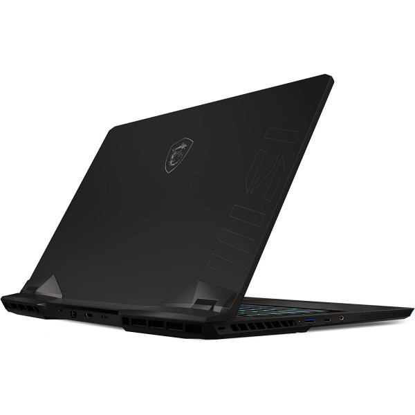Ноутбук MSI Raider GE77HX 12UGS (GE77HX 12UGS-059PL)