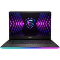 Ноутбук MSI Raider GE77HX 12UGS (GE77HX12UGS-004US)