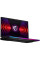 Ноутбук MSI Raider GE78 HX 14VGG Black (14VGG-254US)