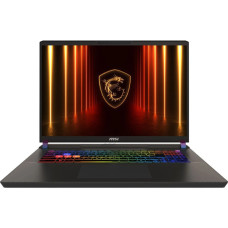 Ноутбук MSI Vector 17 HX AI A2XWJG Cosmos Gray (A2XWJG-042U, 9S7-17S372-042)